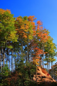 热刺连胜告终，南安普顿喜迎胜利