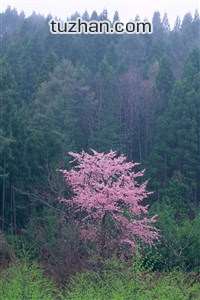 克罗地亚队将面临墨西哥：一场风格与意志的较量