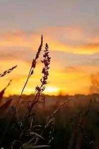 汉堡球队经历波折，努力寻找突破口